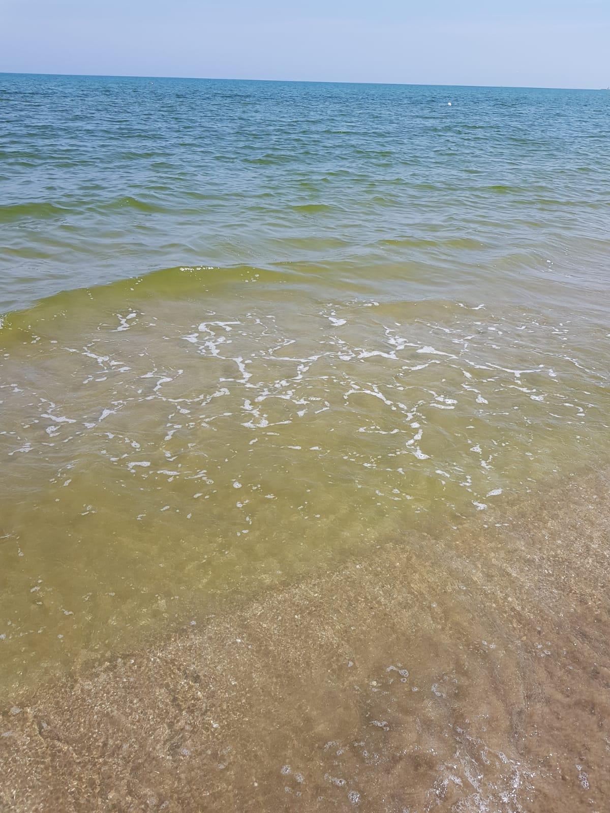 Mare Giallo A Barletta Spettro Inquinamento La Gazzetta Del Mezzogiorno