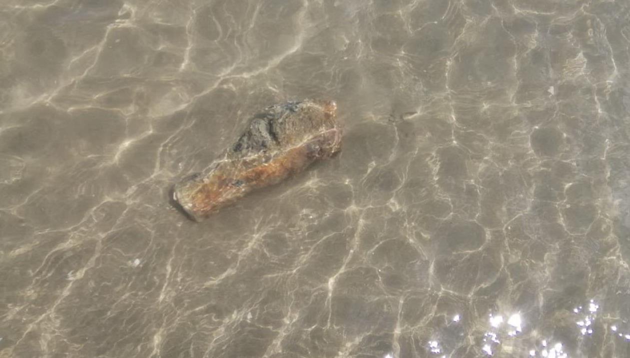 Barletta Paura Per Ordigno Bellico In Mare La Gazzetta Del Mezzogiorno