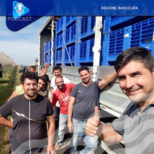 Dimitra. una start-up agricola innovativa