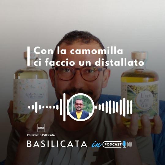 Basilicata in Podcast, Giovanni Marchetta: con la camomilla ci faccio gin e liquore