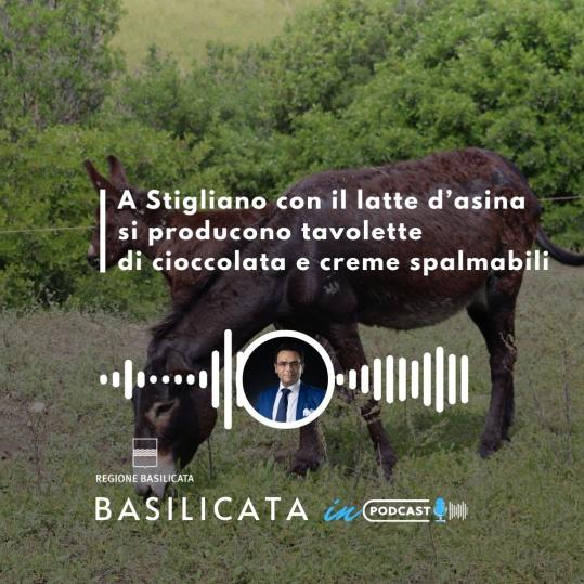 Basilicata in podcast: prodotti innovativi e unici sul mercato con il latte d'asina