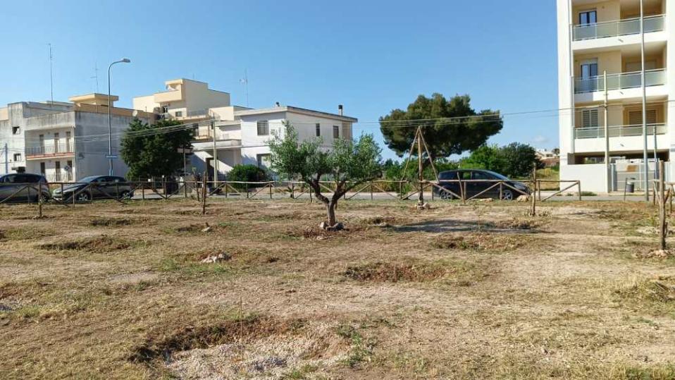 Podcast: «Il verde urbano nel nostro paese»