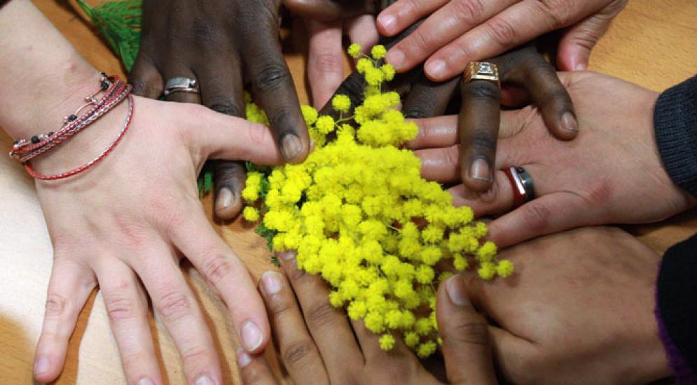 La mimosa, fiore simbolo della festa della donna, tra le mani di donne di diverse etnie e fedi religiose