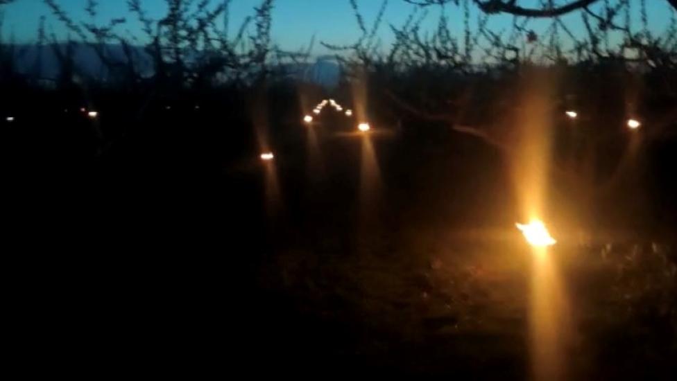 Puglia, vento e gelo sulle fioriture primaverili: si accendono fuochi notturni per scaldare i frutteti