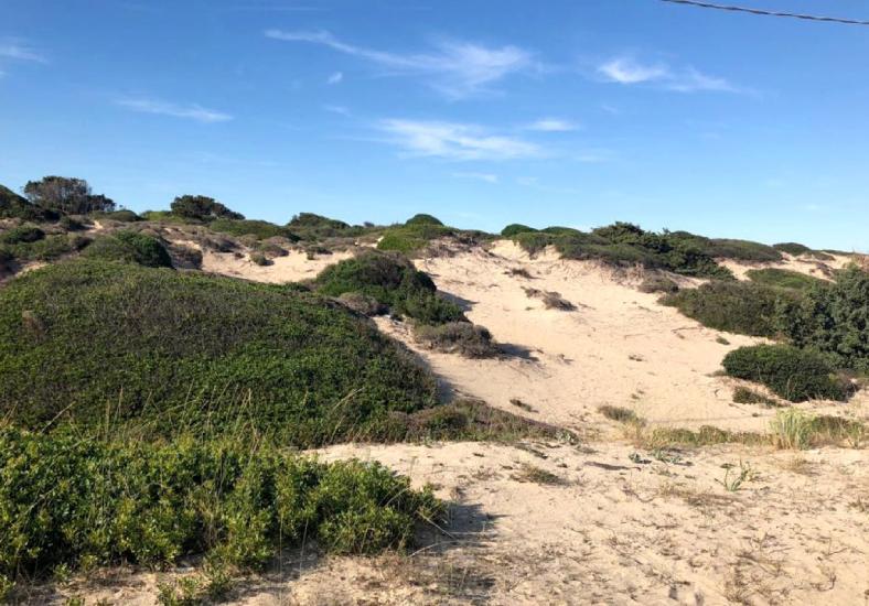 «Dune ai privati», la Regione Puglia verso il dietrofront