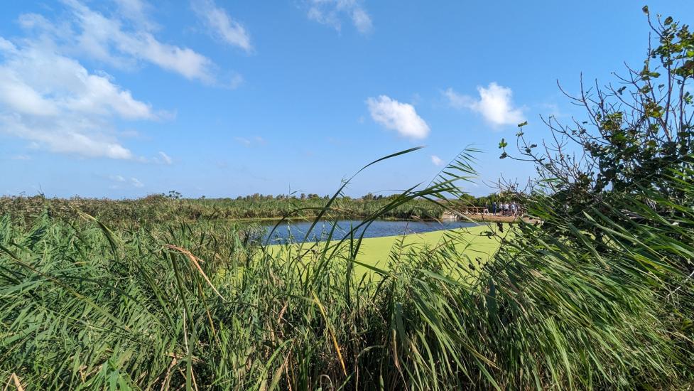 Acqua, clima e transizione energetica: AqP e Legambiente Puglia, un impegno condiviso