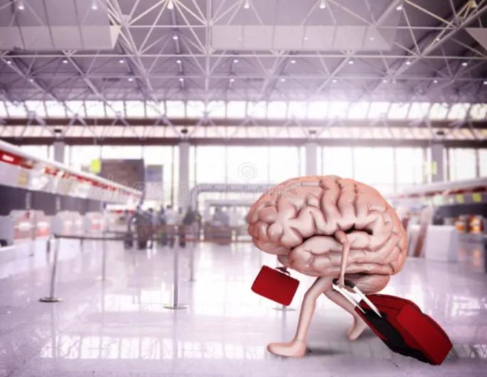 Cervelli in fuga, non si arresta il fenomeno: numeri drammatici tra Puglia e Basilicata