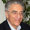 Rosario A. Polizzi