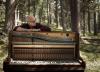Ludovico Einaudi ad agosto in concerto nel Parco Nazionale Alta Murgia