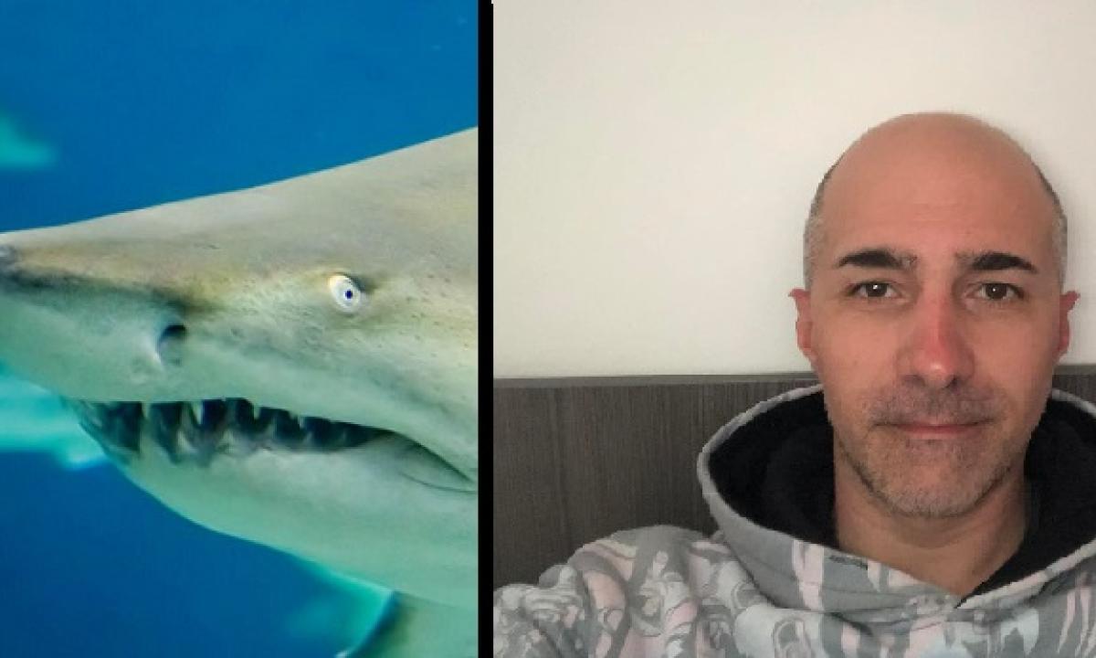 umano con testa di squalo