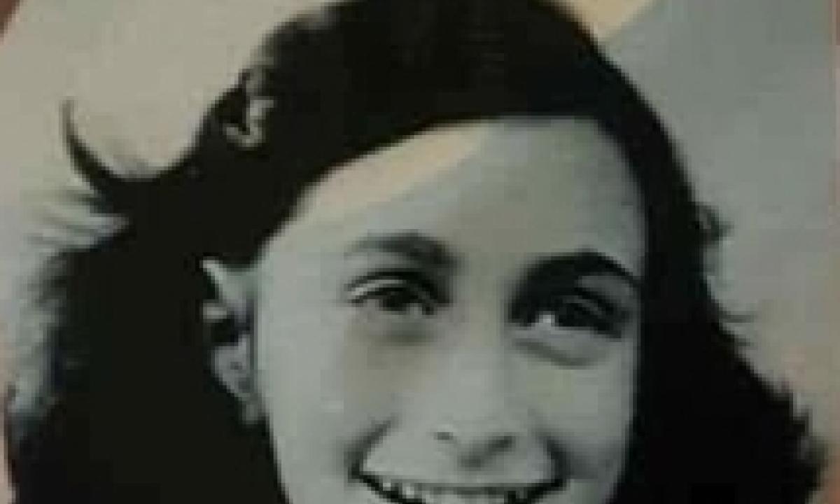 peter van daans gatto mouschi