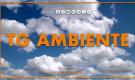 Tg Ambiente - 7/9/2025