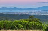 Montebamboli, dove i vigneti puntano in alto: ecco una possibilit&agrave;̀ diversa di interpretare la Costa Toscana