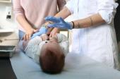 Giornata meningite, alto tasso mortalità e gravi conseguenze /Scheda