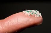 Medici ambiente, 'da cervello a placenta microplastiche ovunque nel nostro corpo