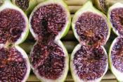 A SANGUE - Così si chiamano quelli dal colore rosso