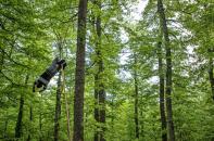 Un rito secolare tra fede e tradizione, Accettura celebra il Maggio