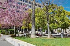 UniBa e Comune di Bari insieme per lauree eco-sostenibili: stop a bivacchi e rifiuti in piazza Battisti