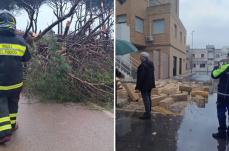 Vento forte anche in Salento: grosso albero cade sulla Presicce-Lido Marini, strada chiusa per giorni