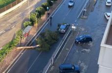 Vento forte su Taranto, primi danni in citt&agrave; e in provincia