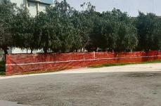 Barletta, dopo 27 anni al via i lavori nelle &laquo;corti&raquo;: tra parcheggio e verde pubblico