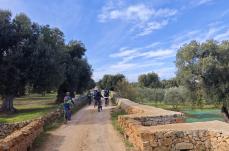 Ecco &laquo;Ostuni to Live&raquo;: nasce il calendario unico delle esperienze turistiche nella citt&agrave; Bianca