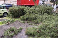 Maltempo, allagamenti e alberi caduti nel Foggiano. Esondato il torrente Lavella, non percorribile la provinciale 125