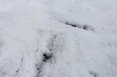 Crispiano, violenta grandinata improvvisa: strade e campi imbiancati &laquo;sembra un paesaggio invernale&raquo; VIDEO