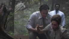 Box office Usa, in vetta The Conjuring