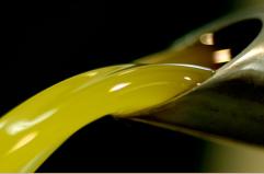 Ladri di olio in azione a Canosa: autotrasportatore preso in ostaggio e liberato dopo 2 ore, indaga la polizia