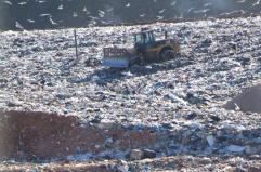 Gestione illecita di rifiuti, sequestro per 550mila euro a due imprese a Trani e Barletta