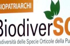 BiodiverSO
