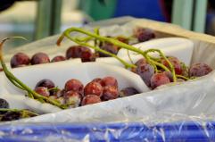 L'orto di Basilicata sulle tavole del mondo
Asso Fruit Italia supera i 60 mln di fatturato