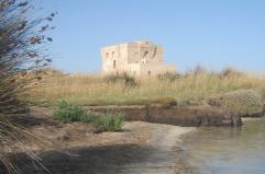 Mel Gibson approda a Torre Guaceto: l&rsquo;oasi protetta off limits fino al 4 maggio