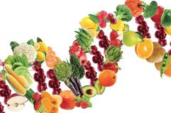 &laquo;Siate pi&ugrave; giovani, vivete pi&ugrave; a lungo&raquo;: la dieta G. Hauser