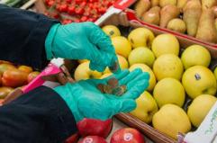 Dal panino al parrucchiere, Bari tra le citt&agrave; dove la spesa costa meno