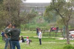 Ecco cosa fare in Puglia e in Basilicata nel lungo weekend di Pasqua: tutti gli eventi dal 3 al 6 aprile 2026