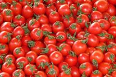 &laquo;Meno disponibilit&agrave; e prezzi spaventosi&raquo;, l&rsquo;emergenza fertilizzanti non d&agrave; tregua