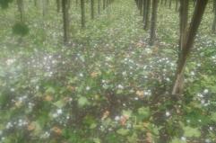 L&rsquo;alto costo annuo della crisi climatica