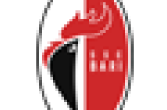 bari calcio logo small
