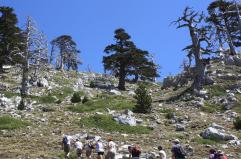 Il Pollino 2024 è meta degli stranieri