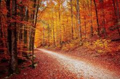 Scoprire l’autunno nel Sud Italia: un viaggio tra natura, salute e lentezza per sfuggire alla frenesia della vita