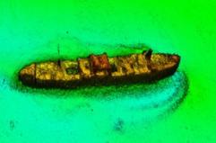 Bari, la nave SS Tilden affondata nel 1943 rinasce grazie a un modello in 3D
