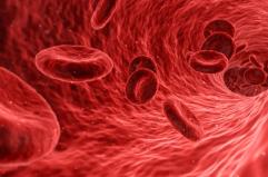 Colesterolo killer numero uno: malattie cardiovascolari prima causa di morte