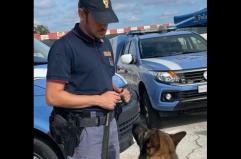 Mola di Bari, spacciavano droga nel locale: sospesa attività