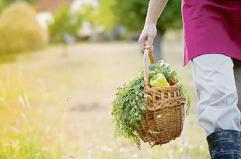Basilicata, stanziati 24 milioni di euro per aiutare i giovani agricoltori