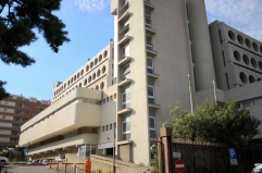 Falsificavano documenti: arrestati 4 egiziani a Matera