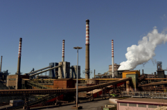 «La diossina nelle pecore abbattute non proveniva dall'ex Ilva»