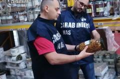 Conserve vegetali a rischio botulino: i Nas sequestrano 1.200 kg di alimenti nel Brindisino