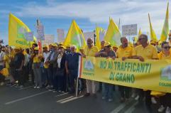 Coldiretti, agricoltori a Bari in protesta contro il crollo del prezzo del grano: lungomare bloccato